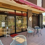 Cafe vivo tree - 
