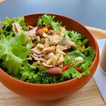 Cafe vivo tree - 