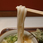 Udon Tsurukoshi - 