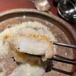 イル アオヤマ - 