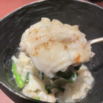 イル アオヤマ - 