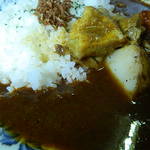 本石亭 - インド風カレー　アップ
