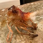 鮨 もりなり - クルマエビ頭