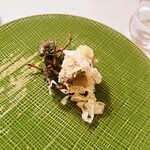 モリエール モンターニュ - 