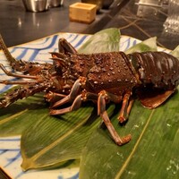 本店山科 - 