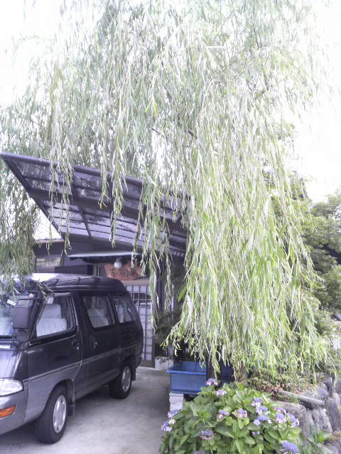 楊柳木 多喜浜 カフェ 喫茶 その他 食べログ