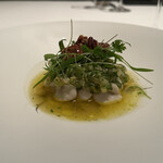 カンテサンス - 