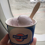 BLUE SEAL - 