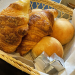 Hishino Onsen Yakushikan