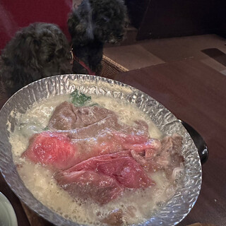 高山わんわんパラダイスホテル_0