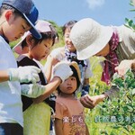 ミノリ・アン - 