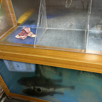 夕凪橋 多古安 - 