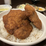 ヨーロッパ軒 - ソースカツ丼