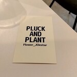 PLUCK AND PLANT - 