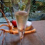 芦屋フレンチ北じま - 