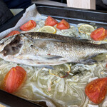 anchoa - 