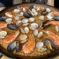 anchoa - 