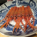 日本料理FUJI - 活き赤座海老