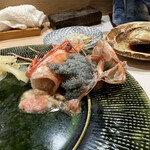 うを徳 - 増毛牡丹海老の卵