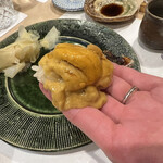 うを徳 - 函館のムラサキウニにぎり