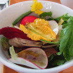 Benoit Alain Ducasse - 季節の地野菜サラダ