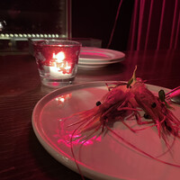 TOOTH TOOTH TOKYO - 