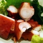 菊乃家本店 - たこぶつ 接写