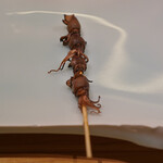 鮨 なんば - 蛍烏賊