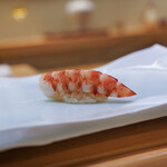 鮨 なんば - 車海老