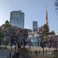 ザ・プリンス パークタワー東京 - 芝公園から①