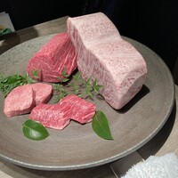 USHIGORO S. SHINJUKU - 