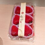 蓬左茶寮 - 紅つつみ