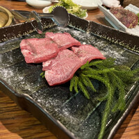 喜福世 - 