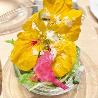 焼鳥 篠原 - 