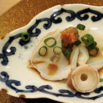 Janome Zushi - 