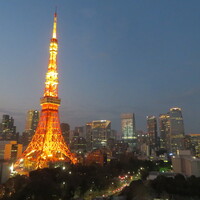 ザ・プリンス パークタワー東京 - 窓外の景色