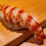 鮨 さかい - ⑯車海老(熊本県天草産、養殖)
      産卵期は初夏～初秋、旬は初夏～初秋
      低水温だと天然ものは殆ど取れなくなります
      茹で立てのプリッとした身、華やかな甘みと旨味が拡がります