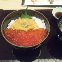 函館うに むらかみ 日本生命札幌ビル店 - うにいくら二色丼