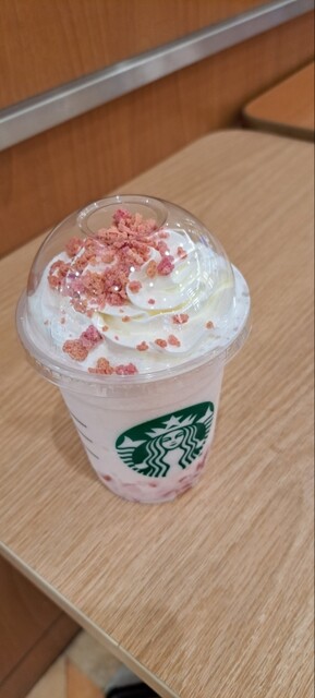 Starbucks Coffee Ion Moru Nagoya Domu Mae Fudo Koto Ten