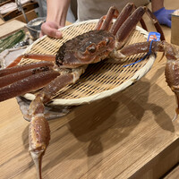 三宅輝 - 