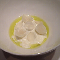 カンテサンス - 