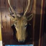 山鯨屋 - 鹿頭(2023.2.17)