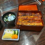 うなぎ 魚政 - うな重、ブランド鰻(坂東太郎) 特大