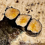 金多楼 - 雲丹の細巻き