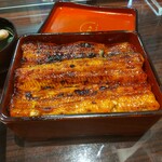 うなぎ 魚政 - うな重、ブランド鰻(坂東太郎) 特大