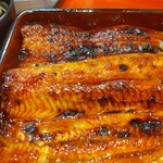 うなぎ 魚政 - うな重、ブランド鰻(坂東太郎) 特大