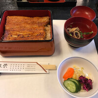 鰻割烹 伊豆栄 本店 - うな重 鰻割烹 伊豆栄 本店 - うな重