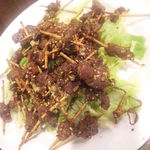 刀削麺酒家 - 串刺し羊肉のシルクロードスパイス炒め