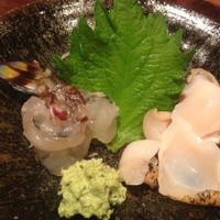 寿司 はせ川 西麻布店 - 刺身おまかせ。車海老が旨い！