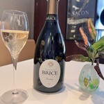 アーティショー - ブリーズ